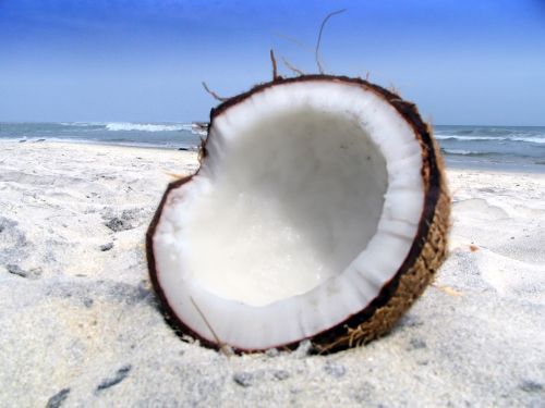 fructe-cocos
