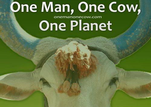 one-man-one-cow
