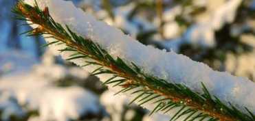 Cateva recomandari Ayurvedice simple pentru perioada de iarna