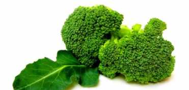 Alimente si plante medicinale cu actiune antibiotica fata de Helicobacter Pyllori