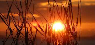 Cum sa iubesti CANICULA