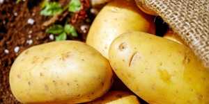 Sucul de cartofi - beneficii pentru sanatate, piele si par