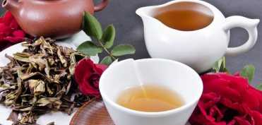 Maceratele la rece din plante