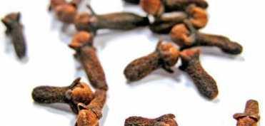 CUISOARELE, condimentul minune! Ce proprietati uimitoare are