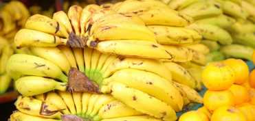 12 alimente energizante