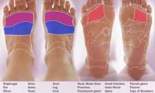 Reflexologie - harta piciorului