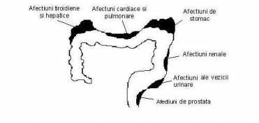 Psyllium tarate - Seminte de in - Detoxifierea organismului
