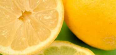 Beneficiile pentru sanatate ale lamailor