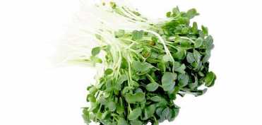 De ce sa consumam vlastari (sprouts)