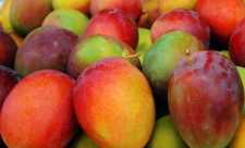 Mango -  bogat in antioxidanti