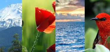 Parintele Serafim de la Athos - Rugaciunea isihasta