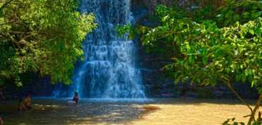 Puterea vindecatoare a sunetelor din natura