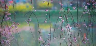 Virtutile medicale ale postului