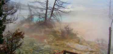 Terapia de sudoratie poate vindeca raceala si gripa