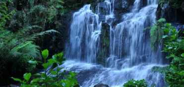 Beneficiile imbaierii periodice