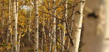 Recomandari pentru sanatatea varstei a treia