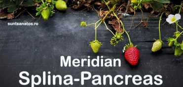 Tinctura Meridian Splina-Pancreas