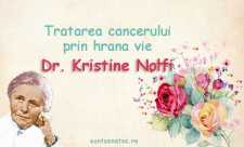 Dr. Kristine Nolfi - Tratarea cancerului prin hrana vie