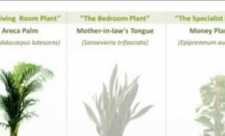 Cum iti poti produce singur aer proaspat