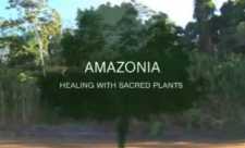 Amazonia - Vindecare cu plante sacre (Amazonia Healing With Sacred Plants, 2011)