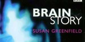 Creierul - Totul e in mintea noastra