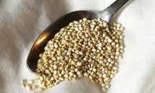 Quinoa - Cereala care bate carnea