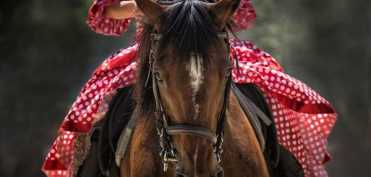 10 abilitati care sunt greu de invatat, dar care te vor ajuta in orice situatie