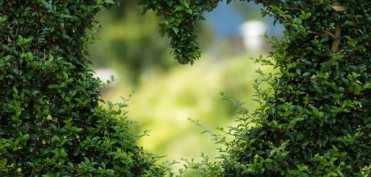 IUBIREA te ajuta sa te vindeci