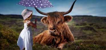 Cateva secrete ale fericirii