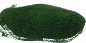 Doua alge renumite: Spirulina si Chlorella