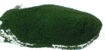 Doua alge renumite: Spirulina si Chlorella