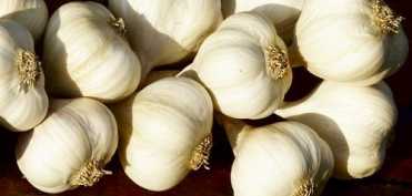 Reteta budista, veche de 5000 de ani