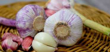 Utilizarea usturoiului ca remediu medical